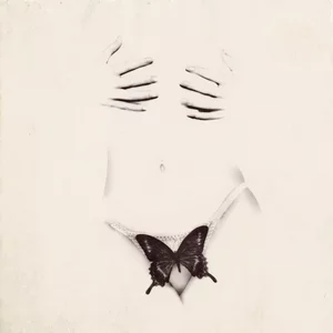 BUTTERFLY album art